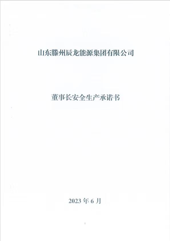 辰龍集團安全生產(chǎn)承諾書